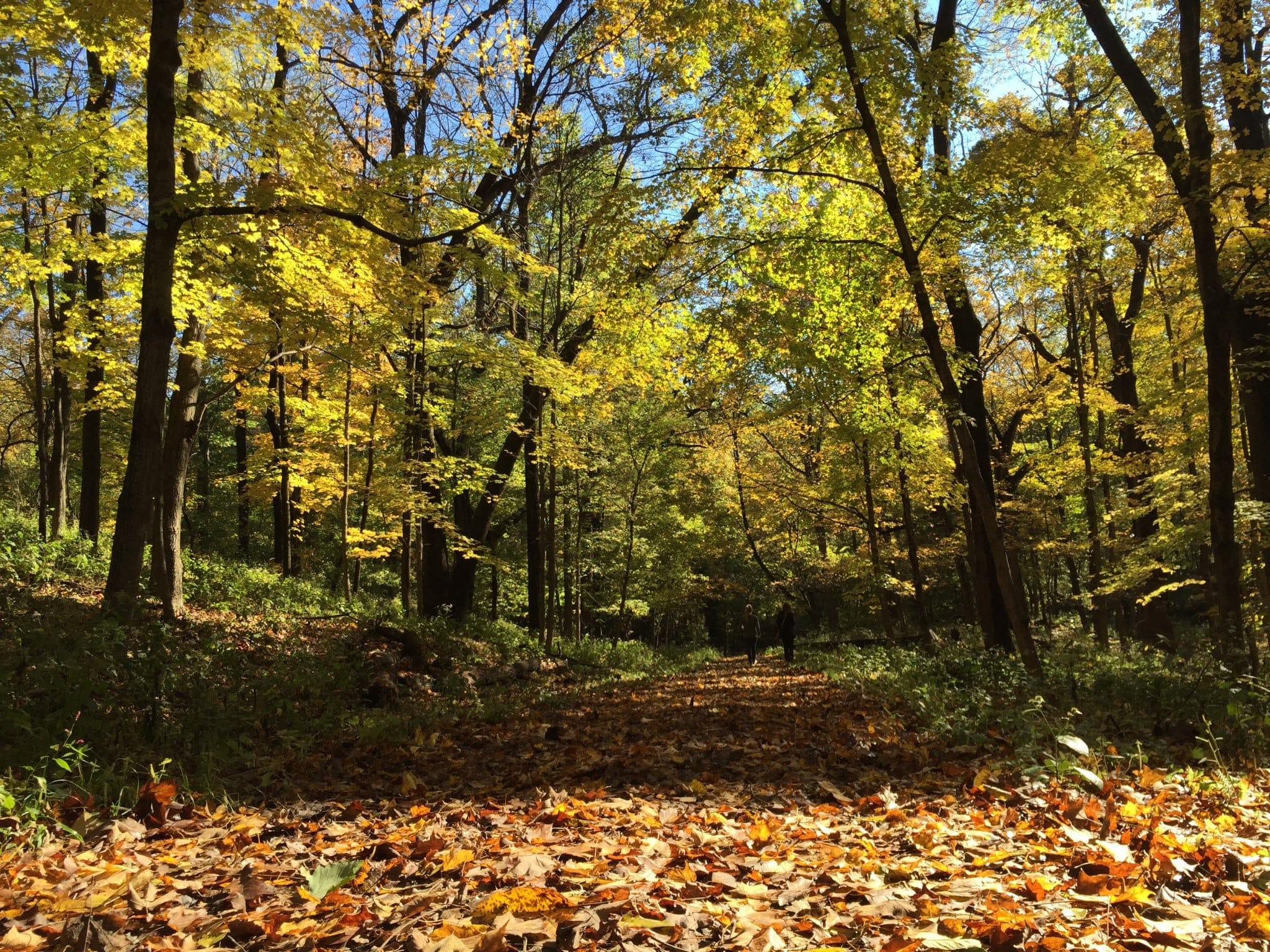 Trails Closed for Season