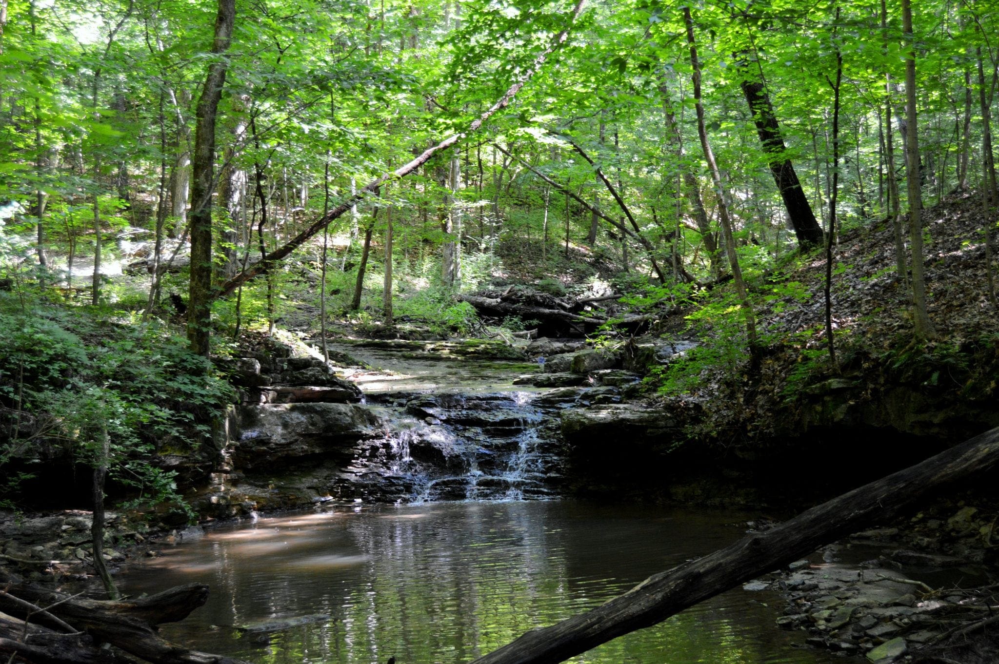 Healthy Streams and Their Ecosystems