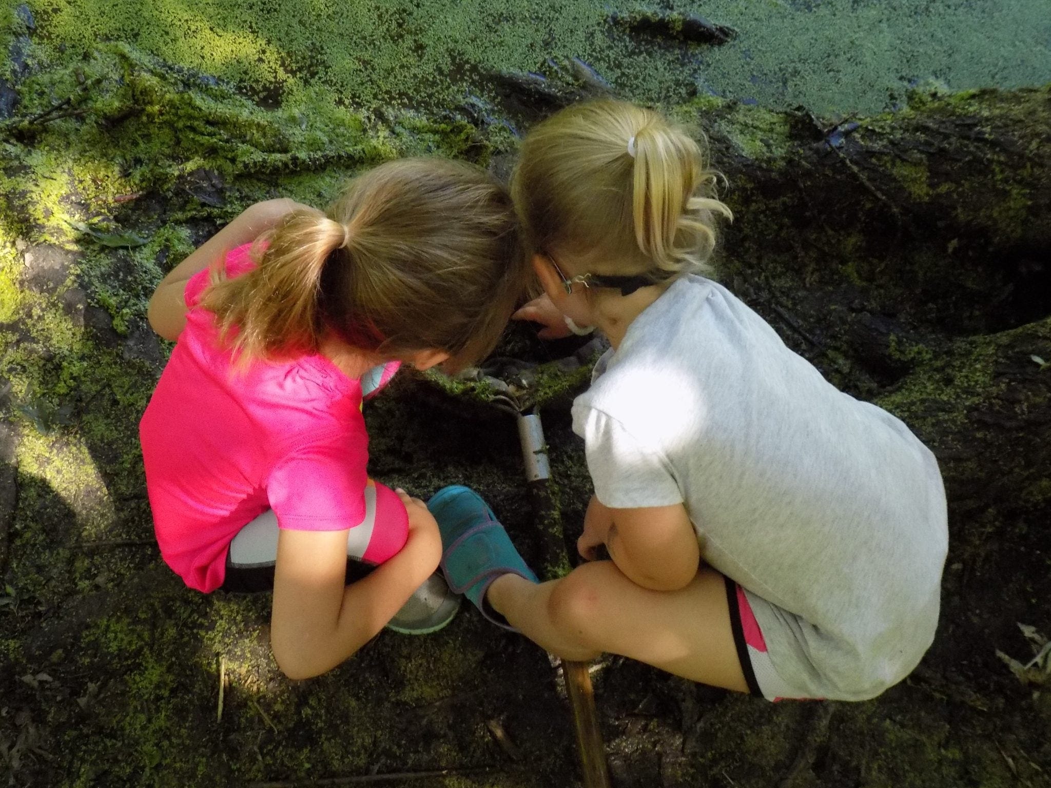 Explorers Camp- Reading the Trail