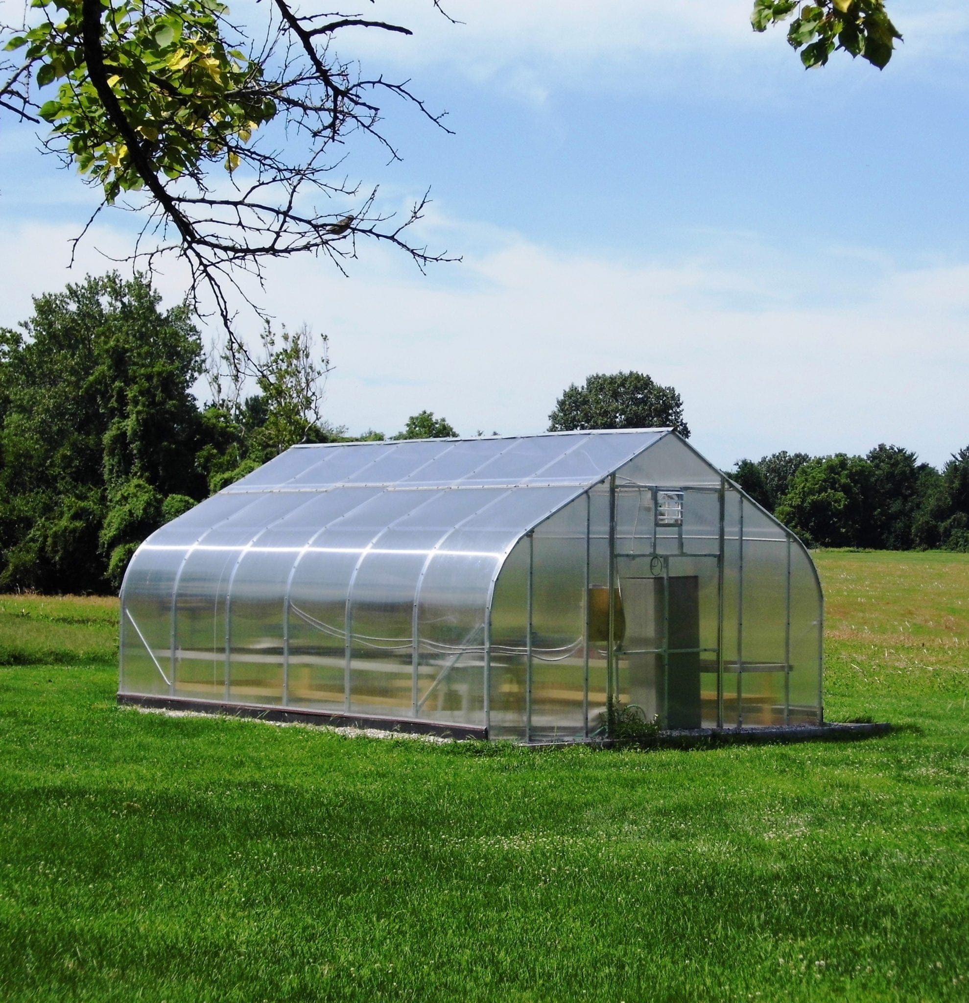 Cypress Pond- Green House- Vertical