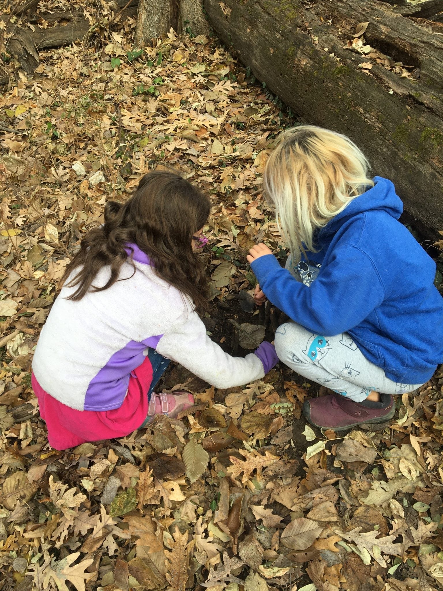 Discovery Nature Club- Winter 2020