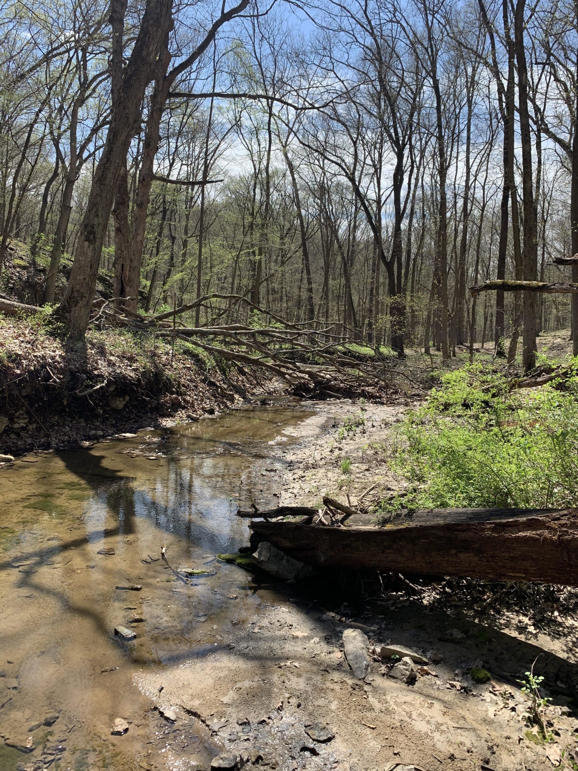 Adult Hike