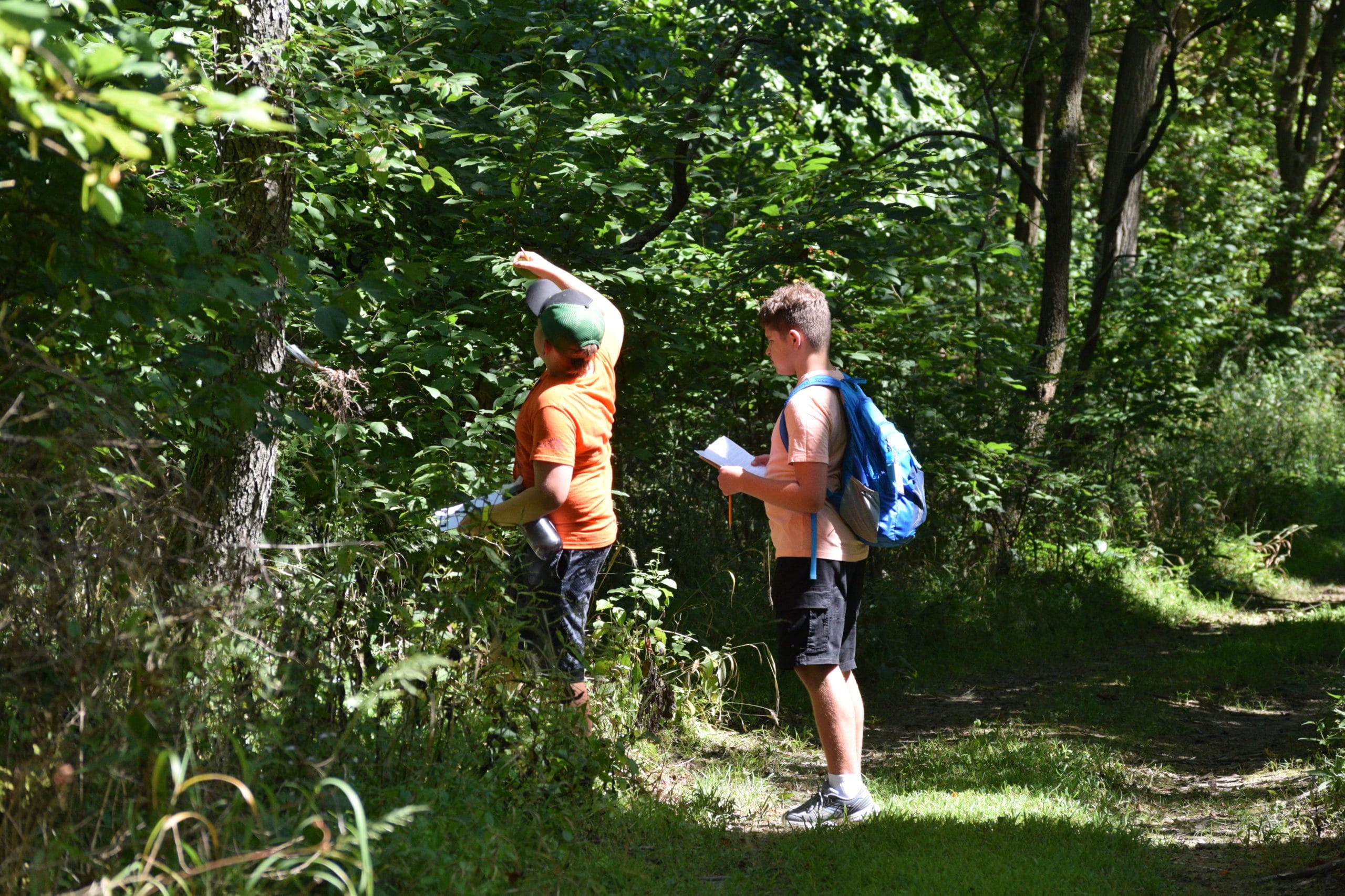Field Guides 2