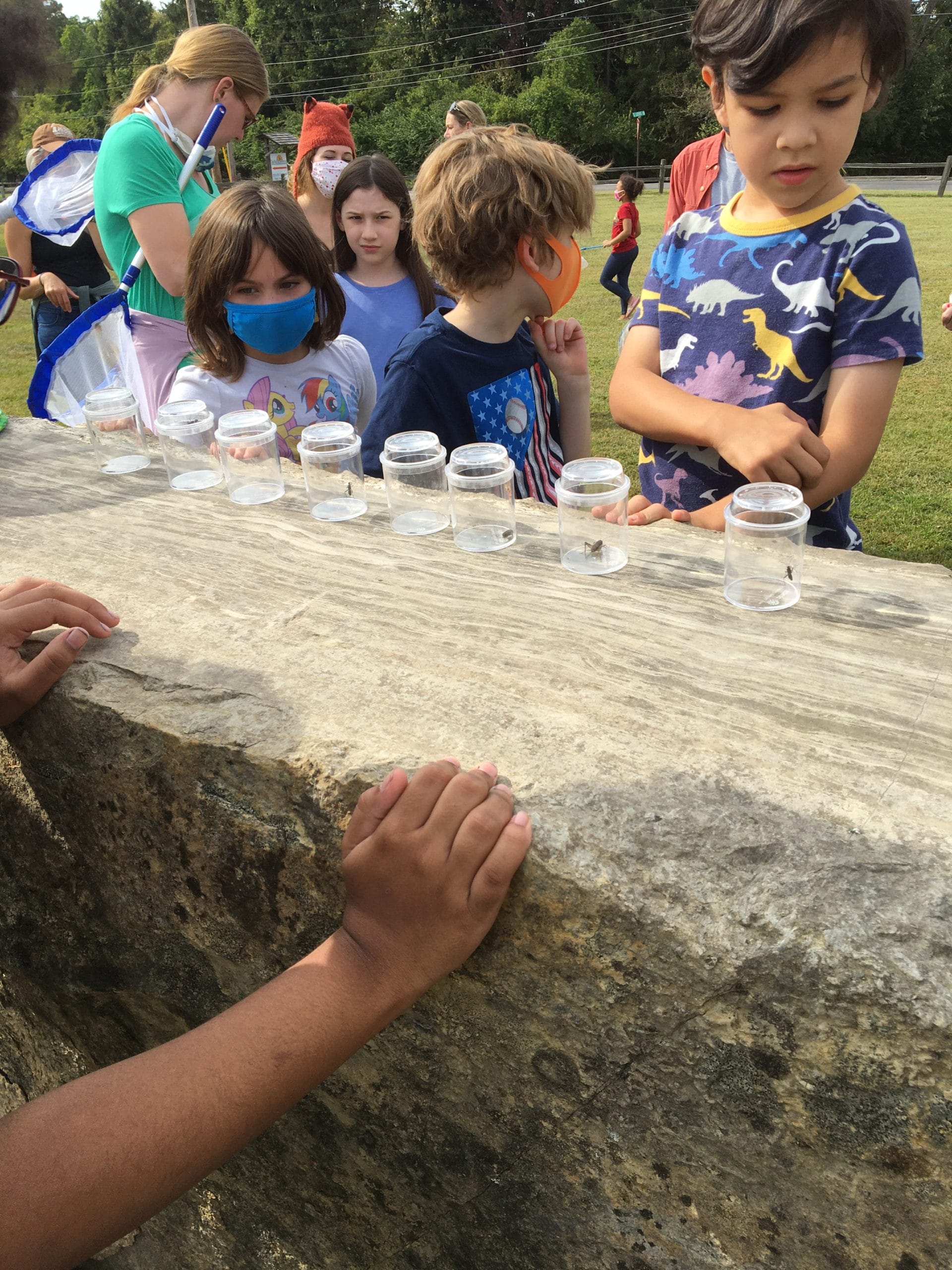 Natural History Investigations 1