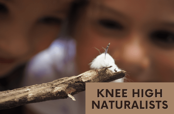 Knee High Naturalist