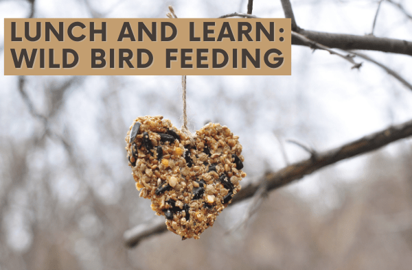 Registration Closed - Lunch and Learn: Wild Bird Feeding