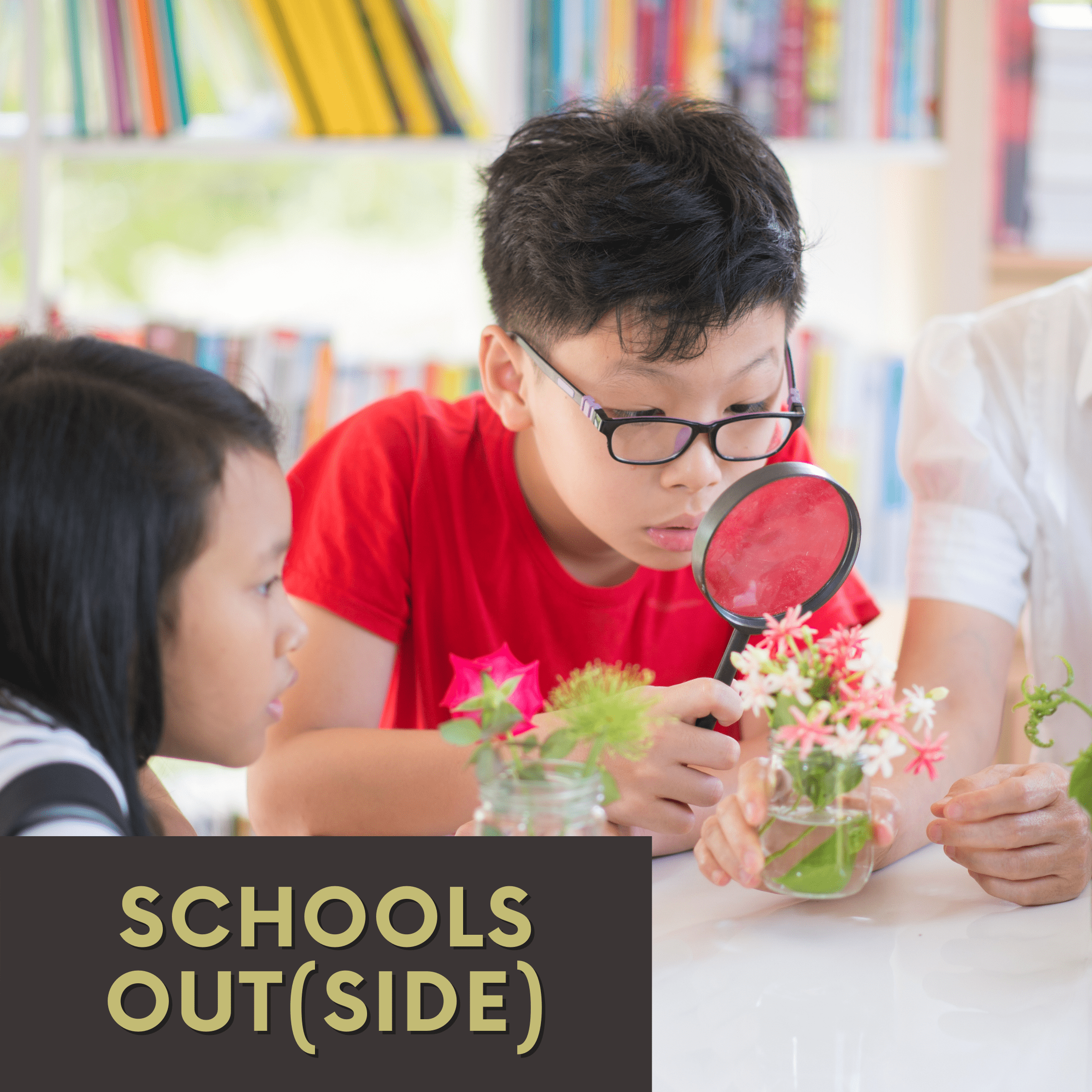 Cancelled: Schools Out(side) - Community Science & Plant Phenology