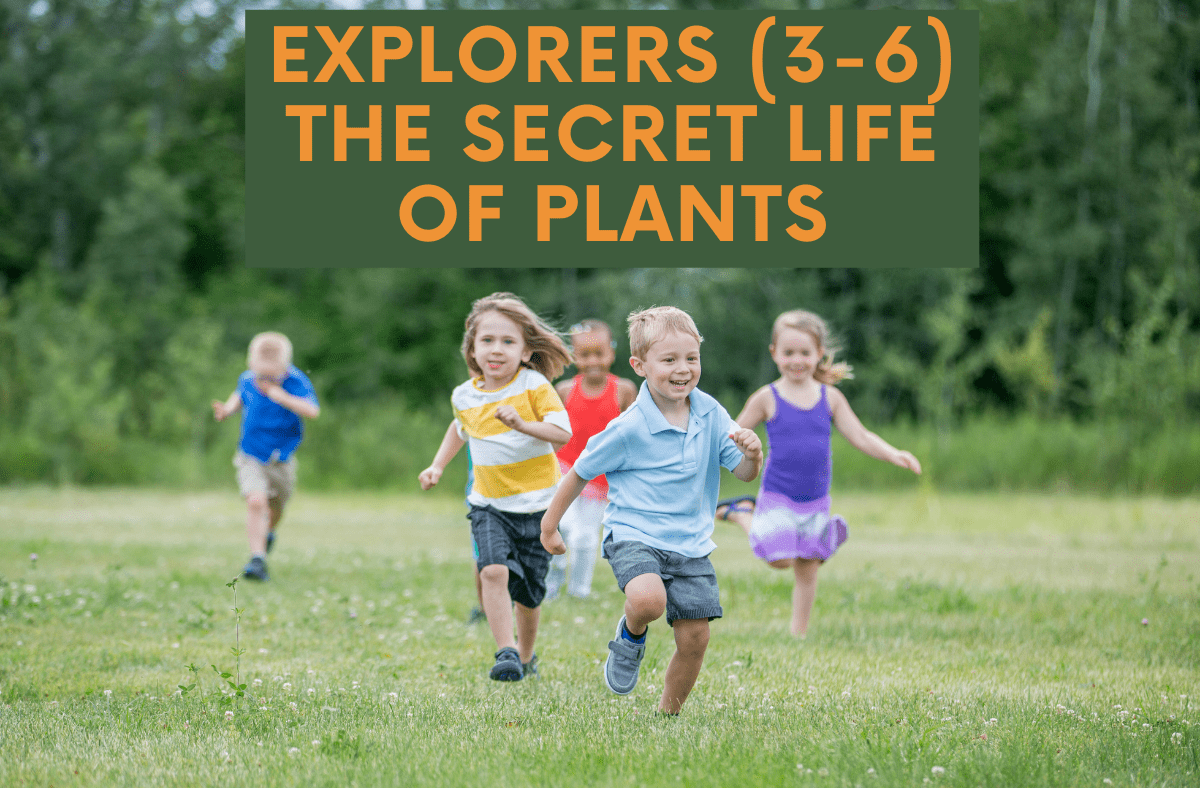 The Secret Life of Plants - Explorers Camp