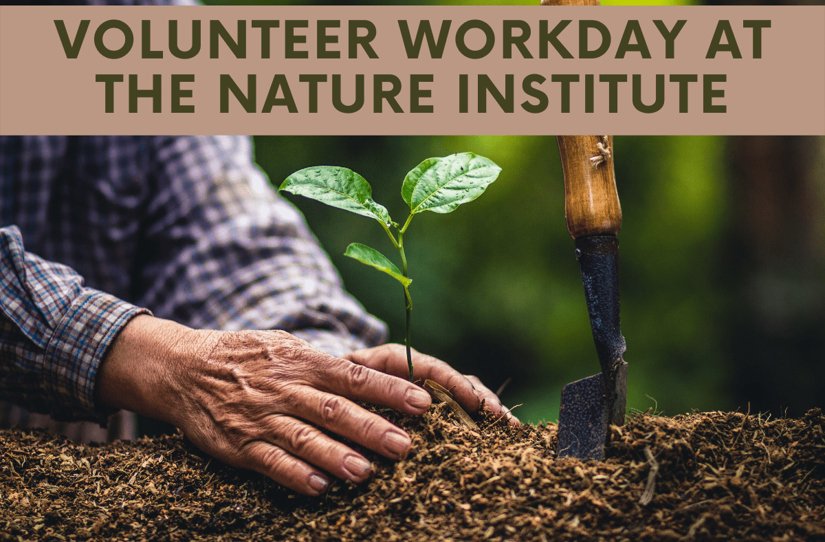 Volunteer Workday at The Nature Institute