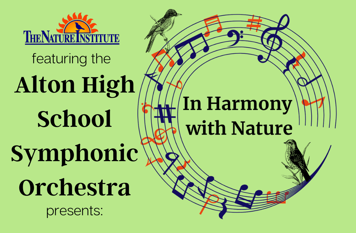 In Harmony with Nature
