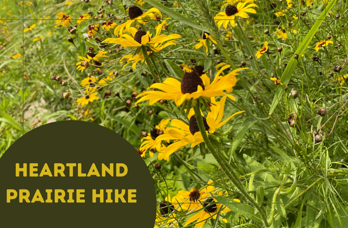 Heartland Prairie Hike