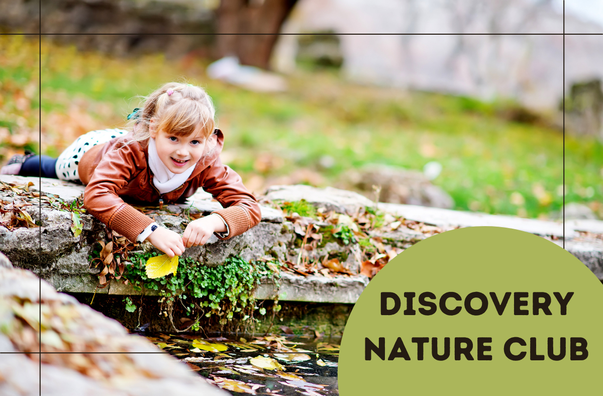 Discovery Nature Club: Naturalist in Training