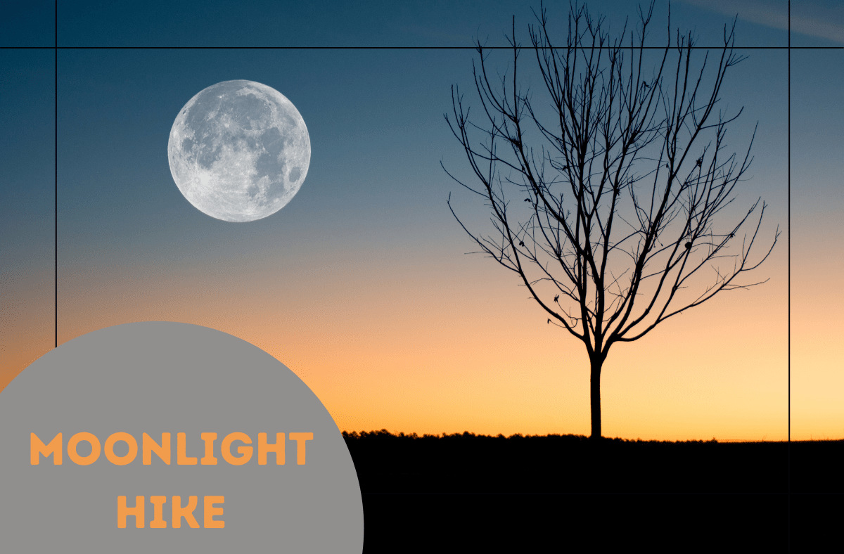 Cancelled: Moonlight Hike