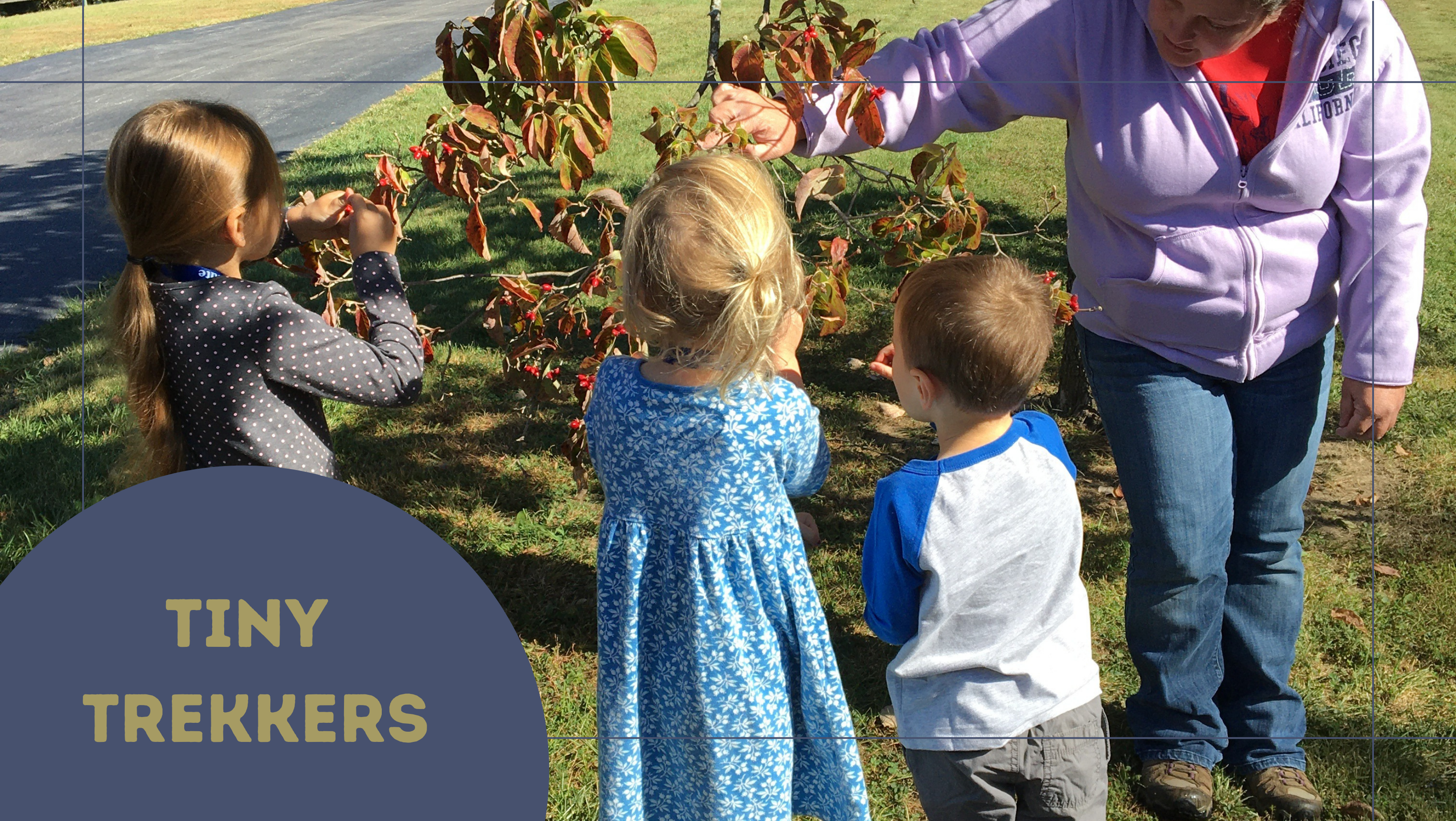 Tiny Trekkers: Seeds, Sprouts, and Stems