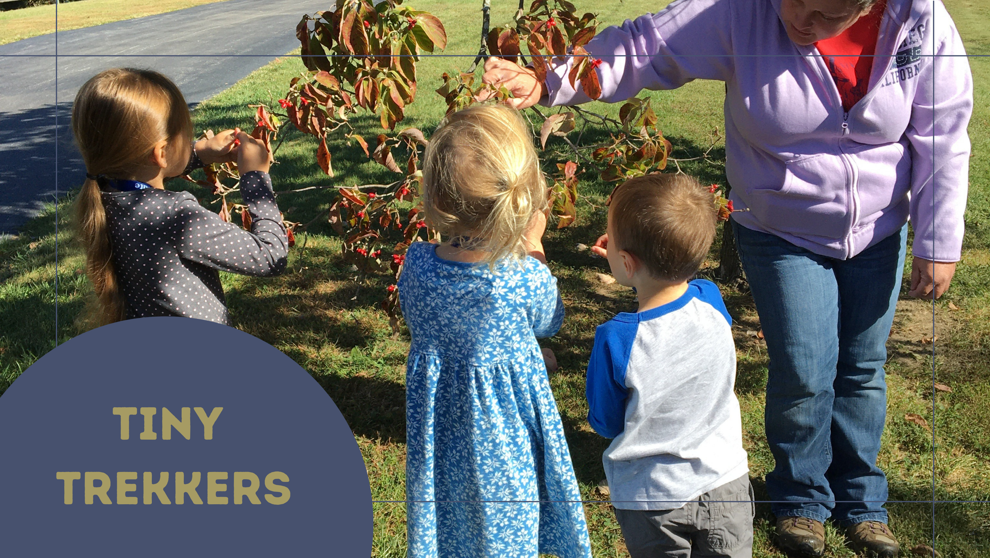 Tiny Trekkers: Wonders of Water