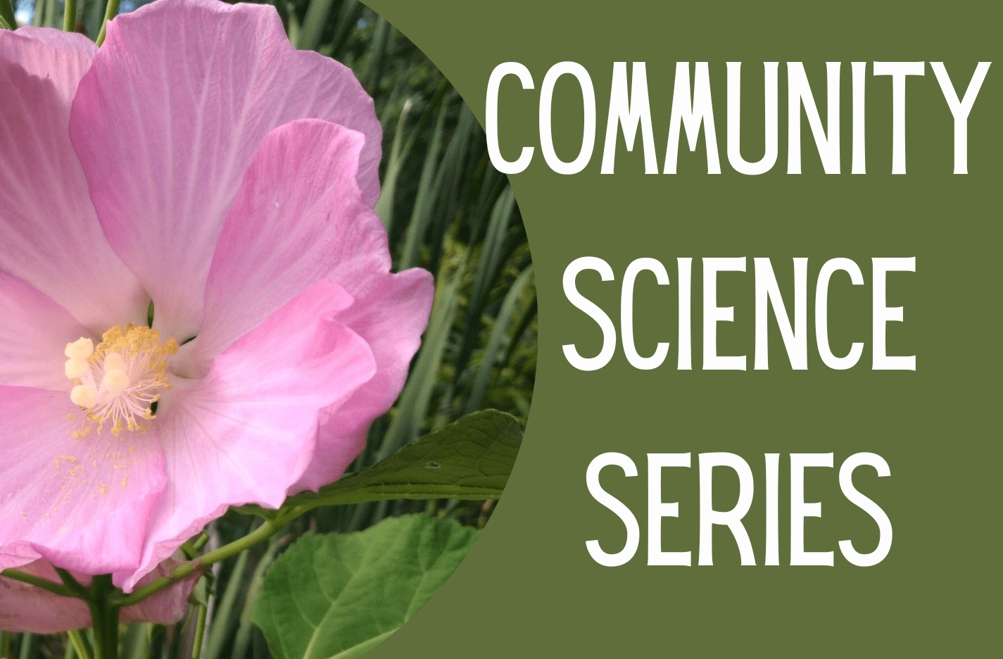 Community Science Series: Phenology