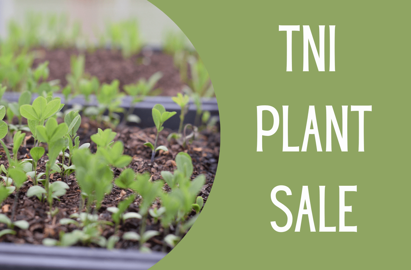 SAVE THE DATE: TNI Native Plant Sale