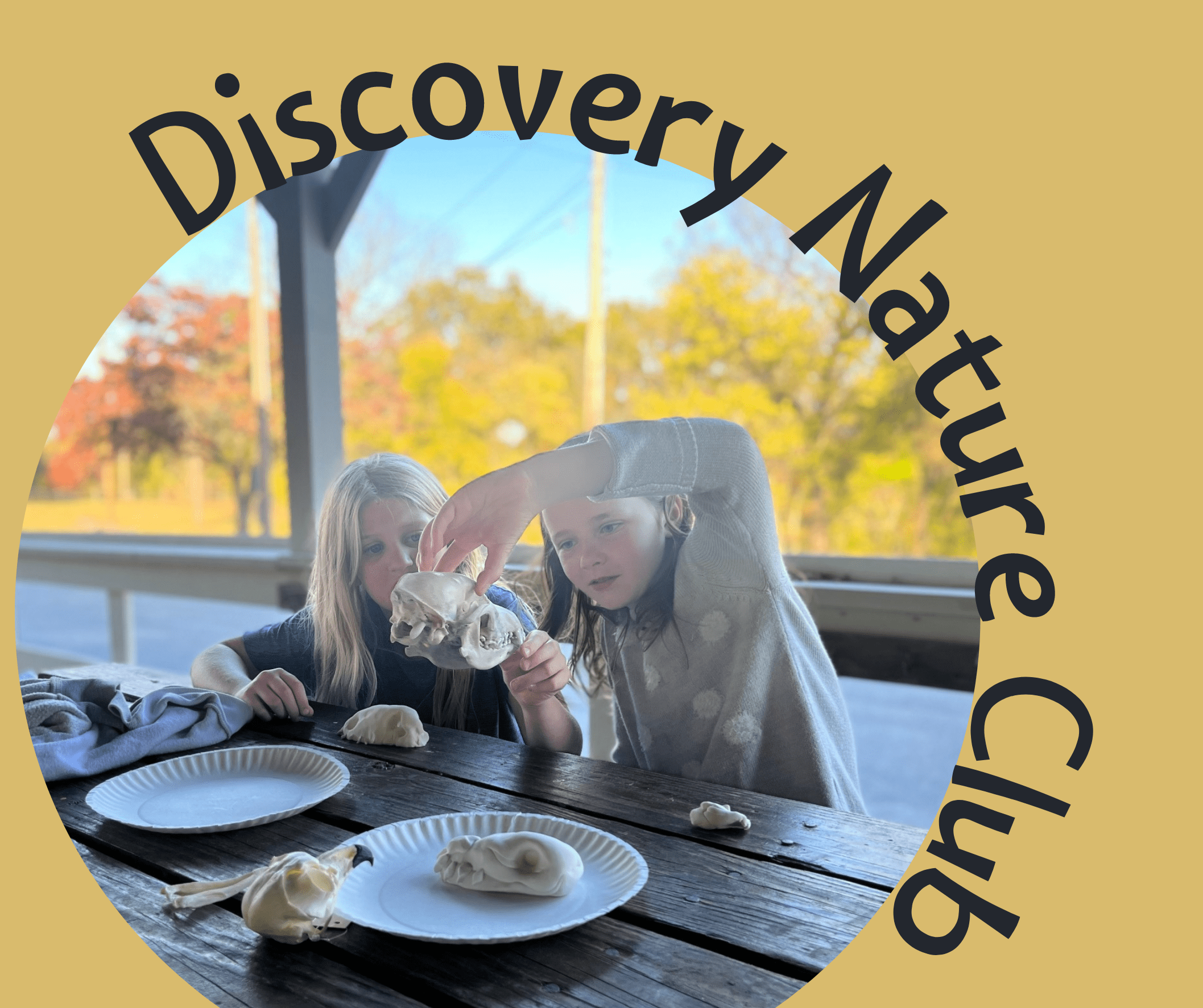 Discovery Nature Club: Elusive Ecosystems