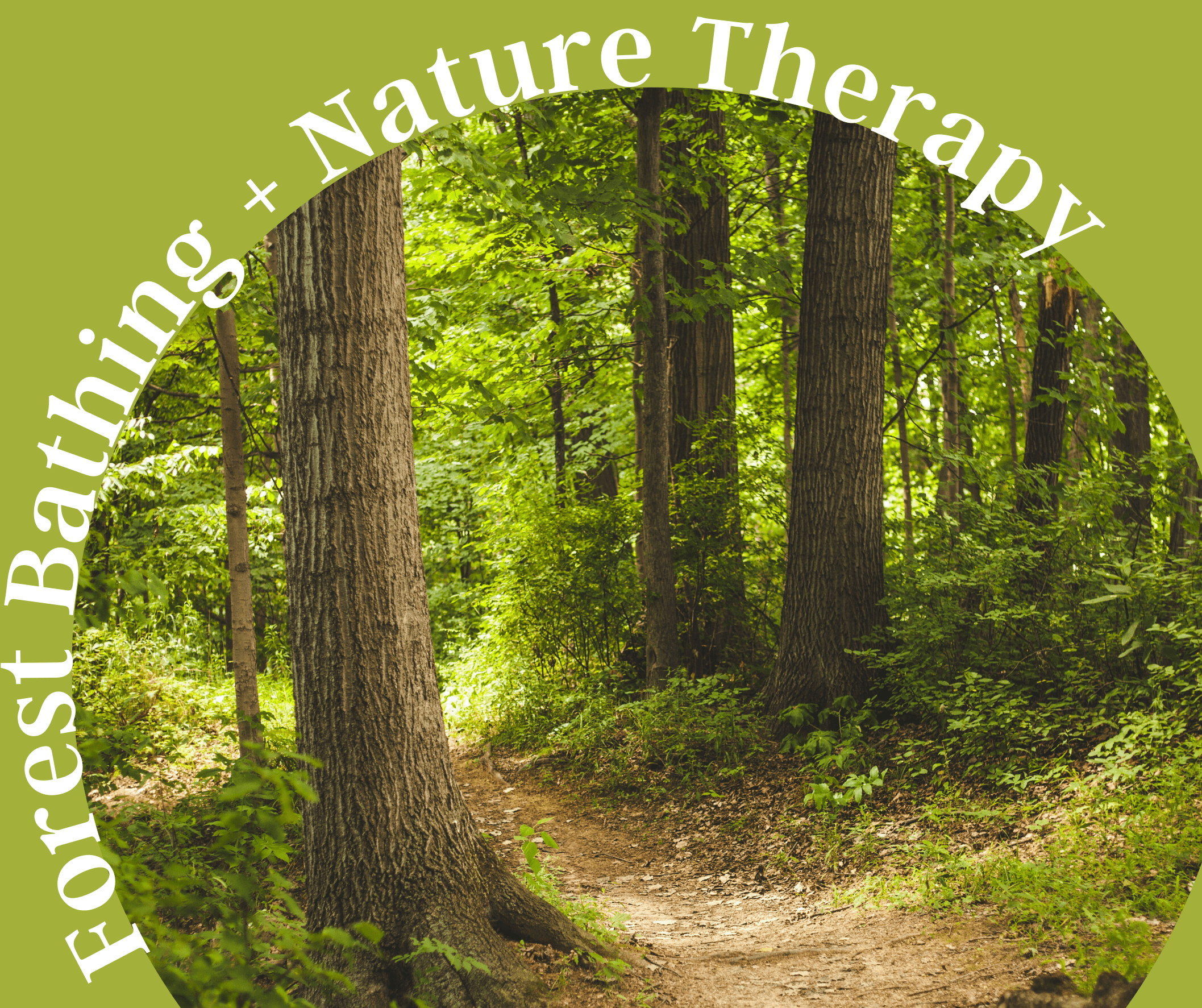 Forest Bathing + Nature Therapy