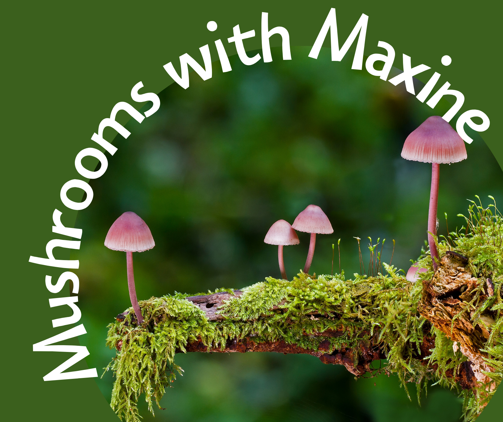 Mushrooms with Maxine
