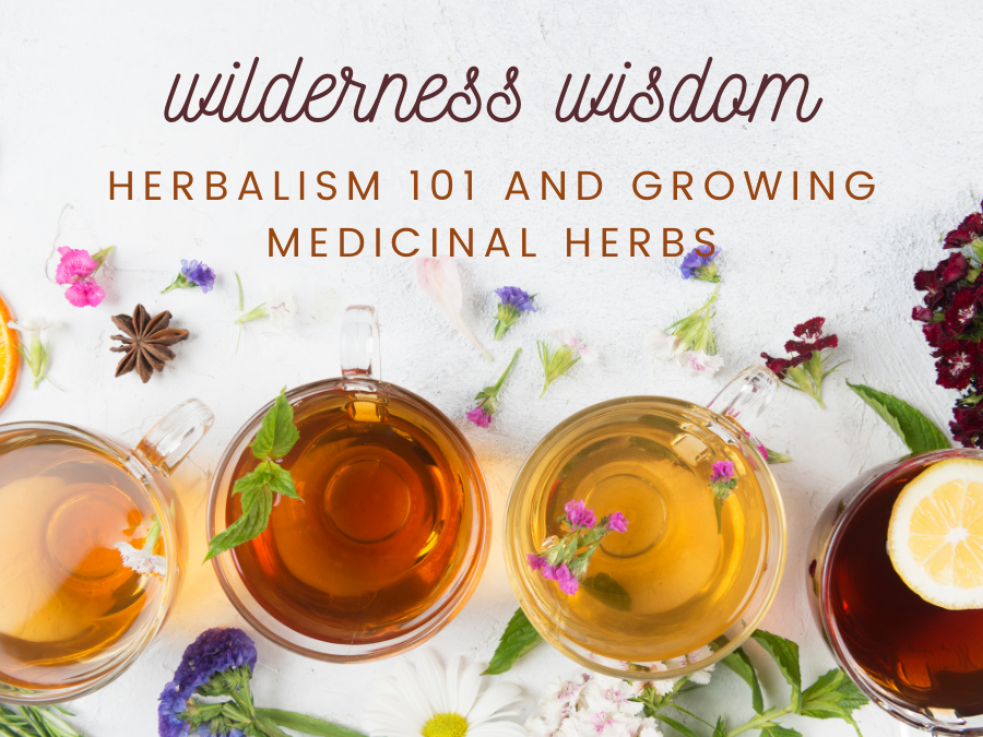 Herbalism 101 and Growing Medicinal Herbs