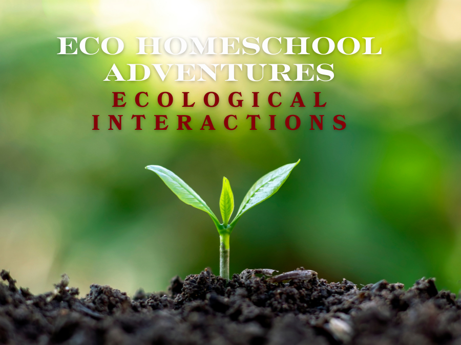 ECO Homeschool Adventures: Ecological Interactions (6th - 12th)