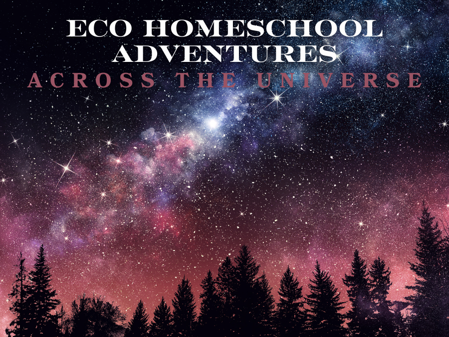 ECO Homeschool Adventures: Across the Universe (6th - 12th)