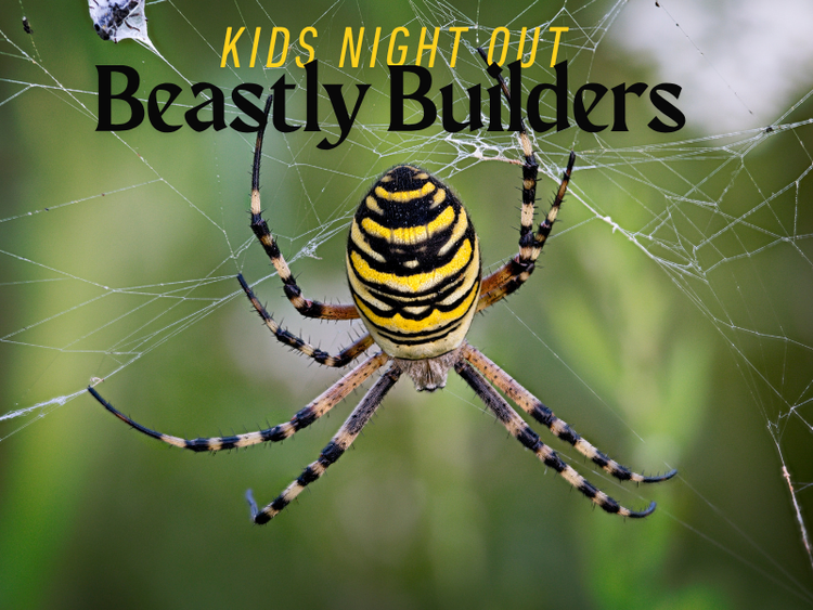 Kids Night Out: Beastly Builders