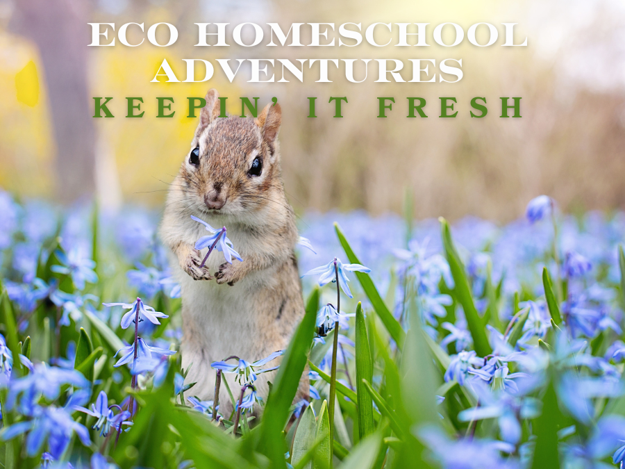 ECO Homeschool Adventures: Keepin' It Fresh