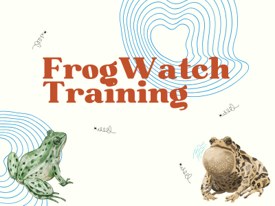Frogwatch Training