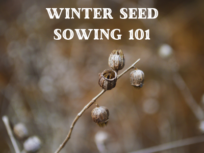 Winter Seed Sowing 101