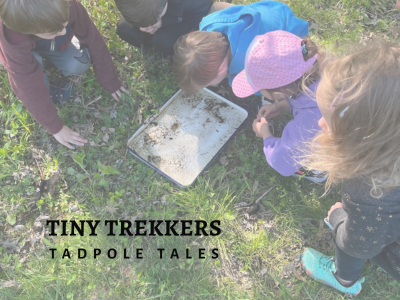 Tiny Trekkers: Tadpole Tales