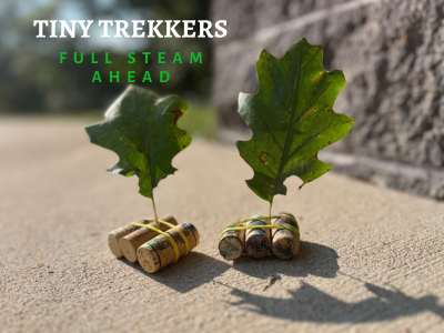 Tiny Trekkers: Full STEAM Ahead