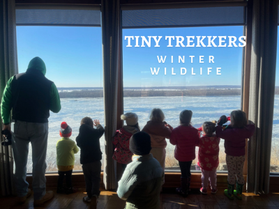Tiny Trekkers: Winter Wildlife