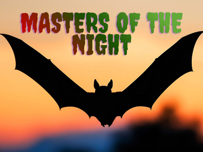 Masters of the Night