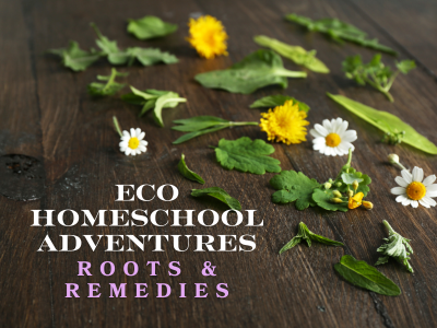 ECO Homeschool Adventures: Roots & Remedies