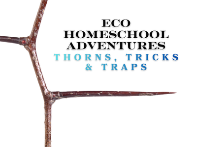 ECO Homeschool Adventures: Thorns, Tricks, and Traps