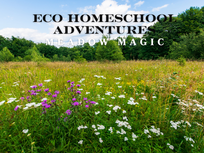 ECO Homeschool Adventures: Meadow Magic (6th - 12th)