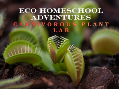 ECO Homeschool Adventures: Carnivorous Plant Lab (6th - 12th)