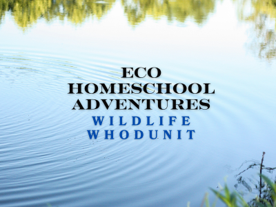 ECO Homeschool Adventures: Wildlife Whodunit: The Pond Caper