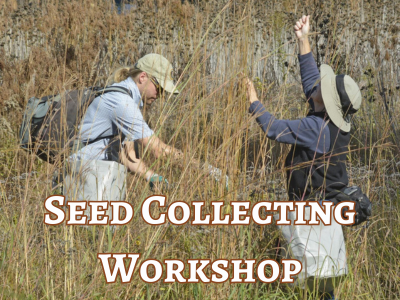 Seed Collection Workshop