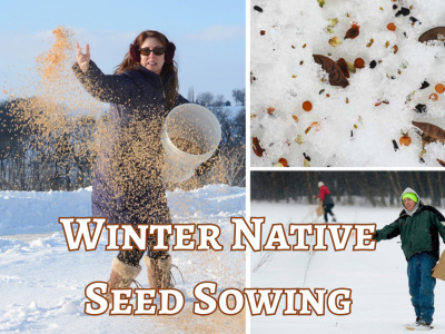 Winter Native Seed Sowing