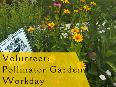Volunteer: Pollinator Garden Workday