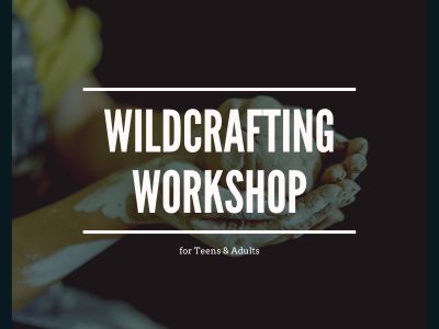 Wildcrafting Workshop