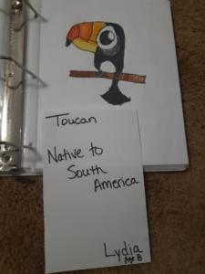 Toucan_Lydia_Kribs